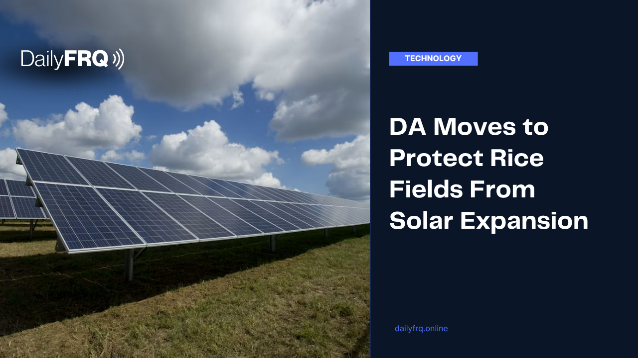 DA Moves to Protect Rice Fields From Solar Expansion