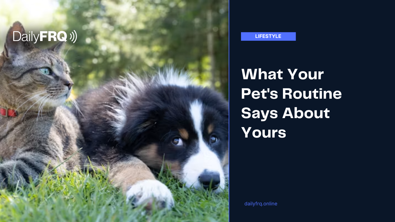 What Your Pet’s Routine Says About Yours