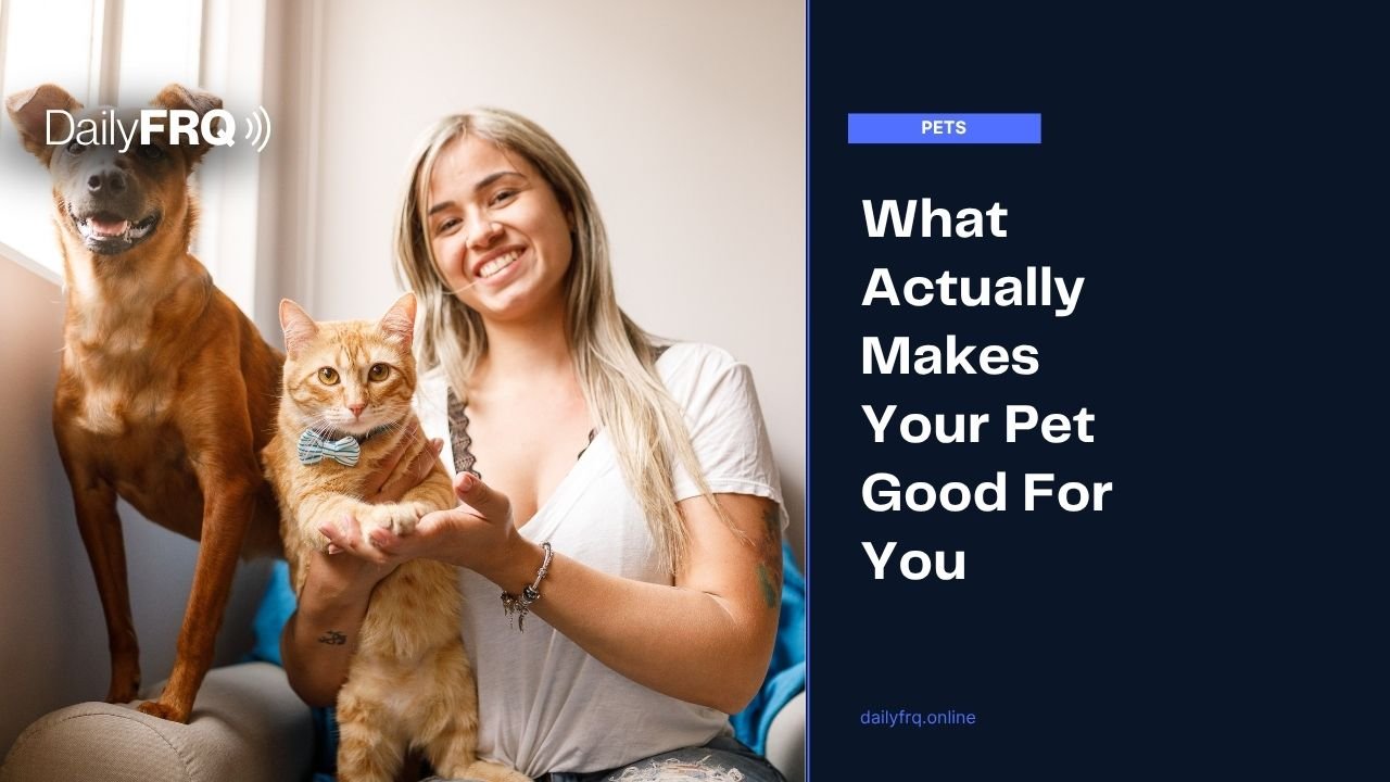 What Actually Makes Your Pet Good For You