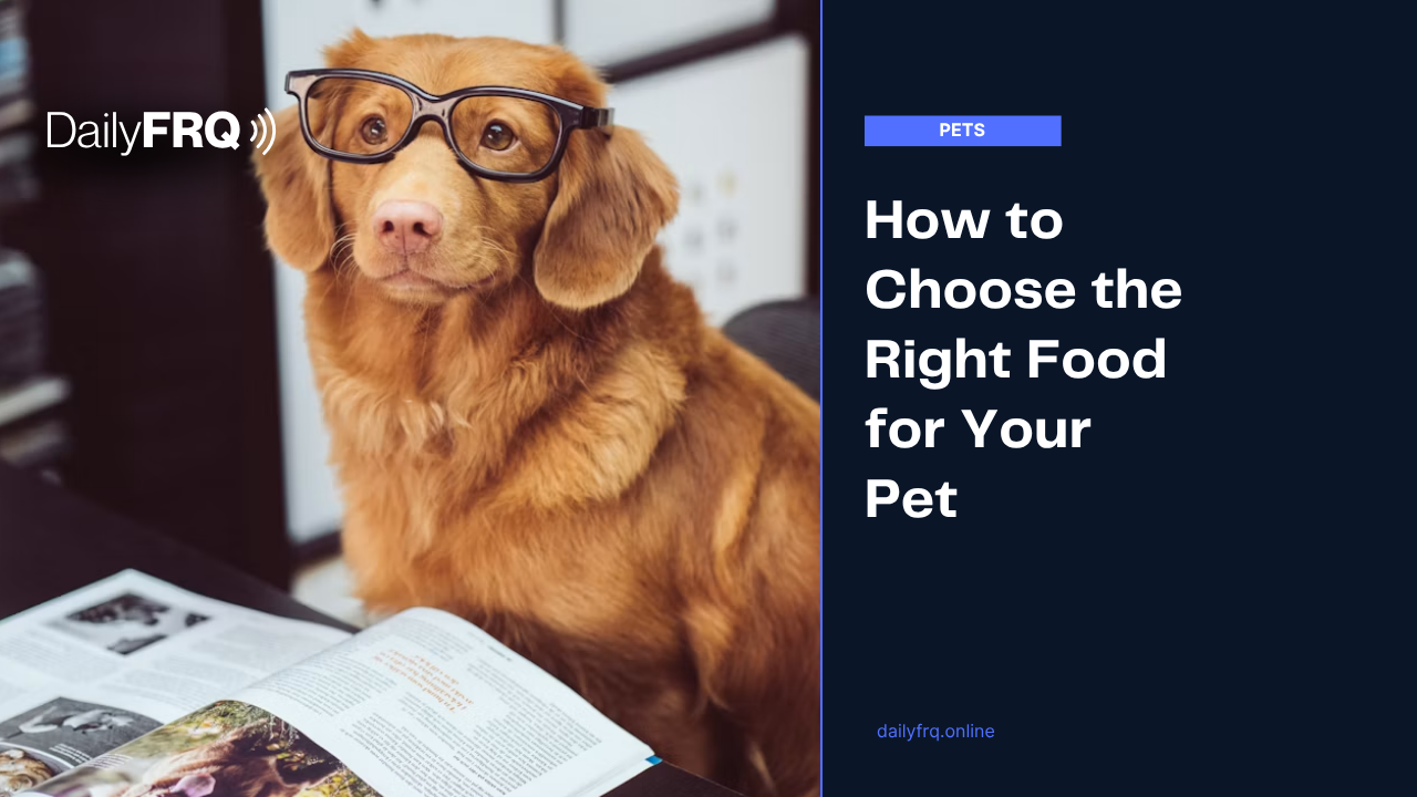 How to Choose the Right Food for Your Pet